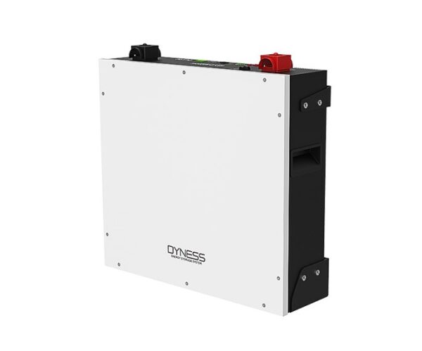 Аккумулятор Dyness DL5,0C, LiFePO4 51,2 В / 100 А·ч